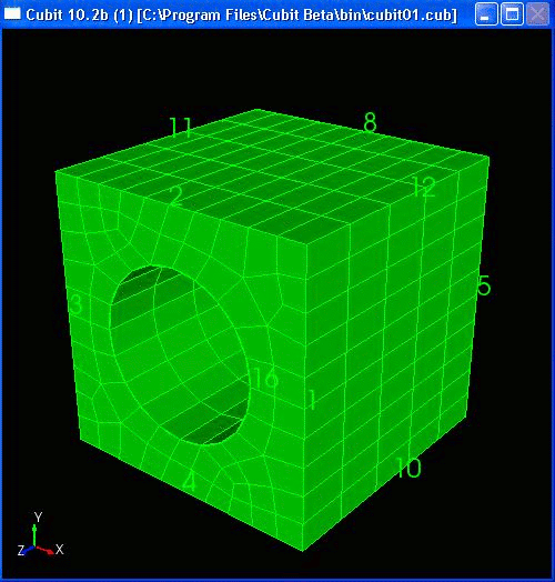 View of Volume Mesh