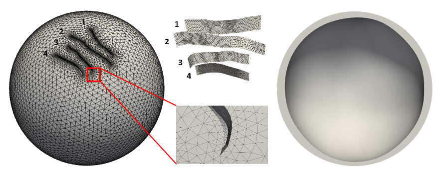 Figure 2: Coreform Cubit was used to create this model of Enceladus, capturing the “Tiger Stripe” fault interfaces at user-specified latitude and longitudes (left), and the lateral variations in crustal thickness (right).
