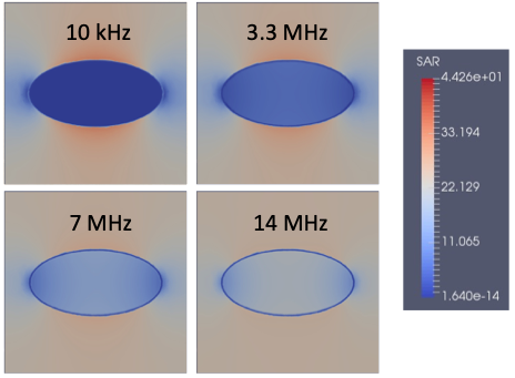 Figure 2: Results of computed SAR in watts per kilogram at different frequencies. The higher the frequency of the influencing electromagnetic field is, the more energy is absorbed by the interior of the cell, which leads to its heating.