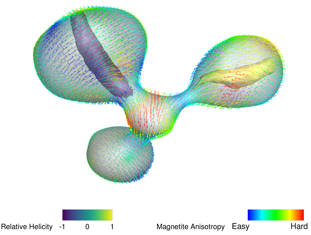 Useful results are obtained by MERRILL with high quality mesh inputs from Coreform Cubit. The local minimum energy magnetic structure is shown here;  The magnetic direction in the particle is indicated by the arrows, colored to show alignment to ‘easy’ and ‘hard’ magnetic anisotropy direction. Also drawn are helicity isosurfaces in yellow and purple that highlight the vortex nature of the dominant magnetic structure. This information helps the rock-magnetic team learn more about natural magnetic recordings than the world has known before.
