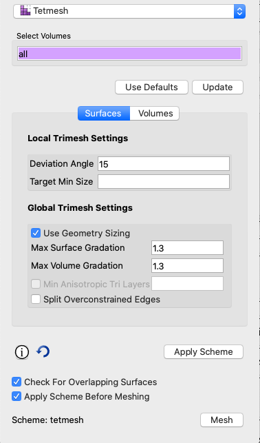 Tetmesh command panel for surface options