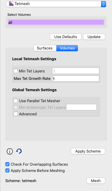 Tetmesh command panel for volume options