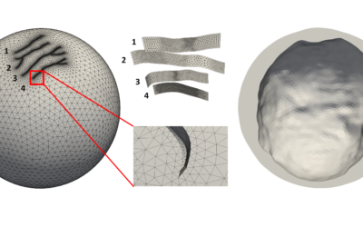 Webinar: Using Coreform Cubit scripting capabilities to study the geodynamics of a planetary satellite