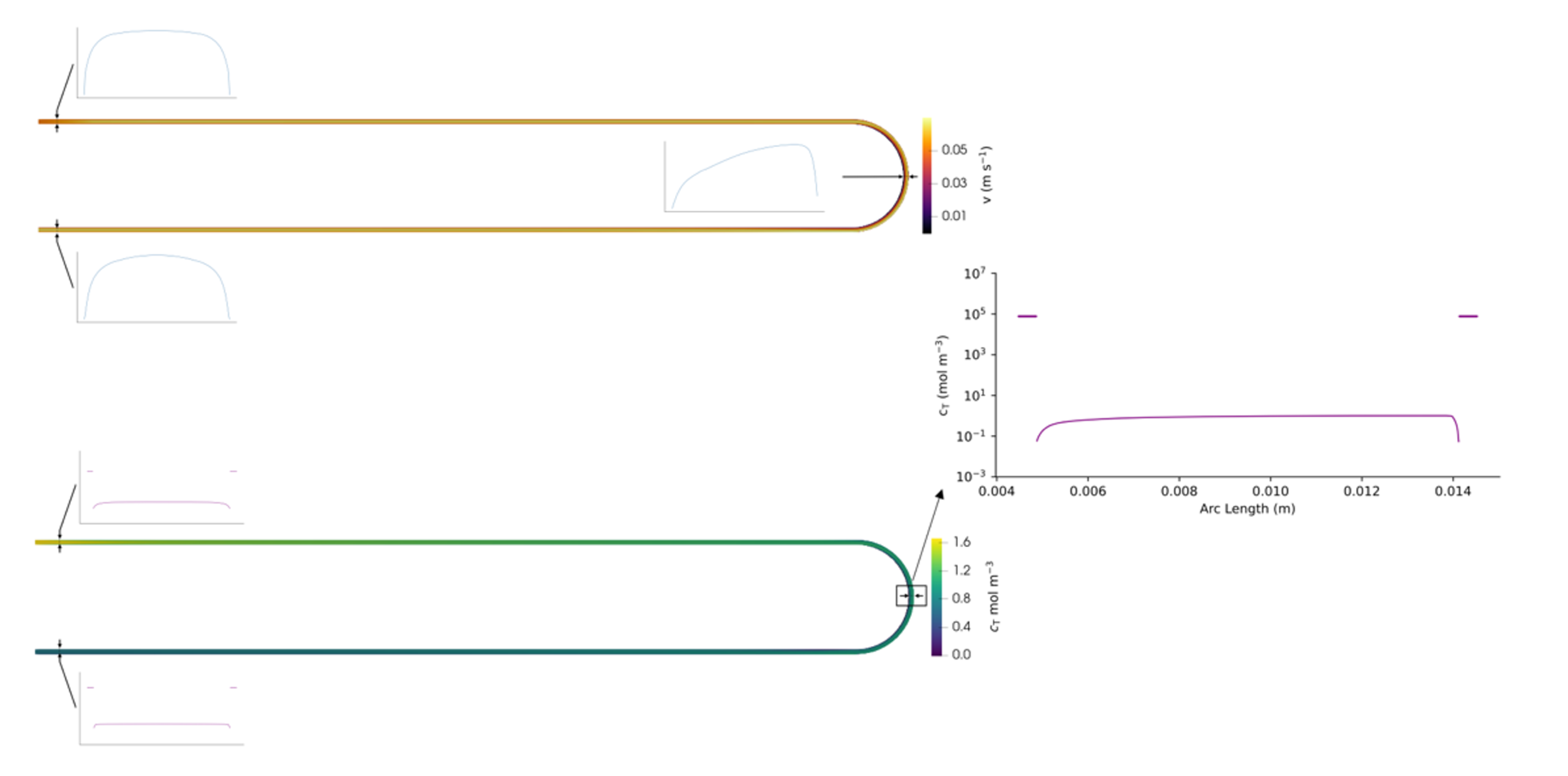 Fluid velocity and tritium concentration in a U-shaped permeable pipe, with a concentration profile at the bend Fluid velocity and tritium concentration in a U-shaped permeable pipe, with a concentration profile at the bend